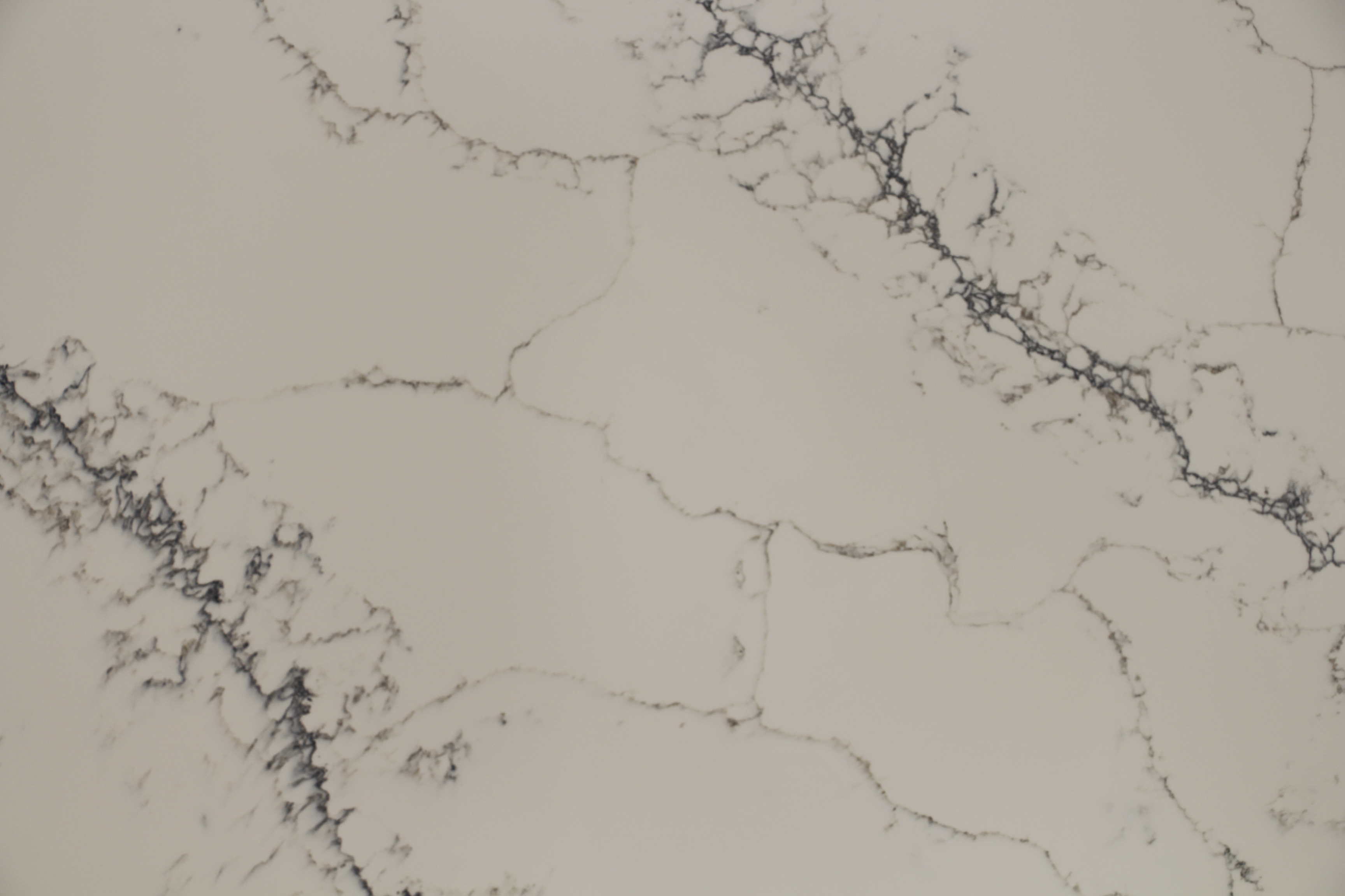 Calacatta nuve quartz slab