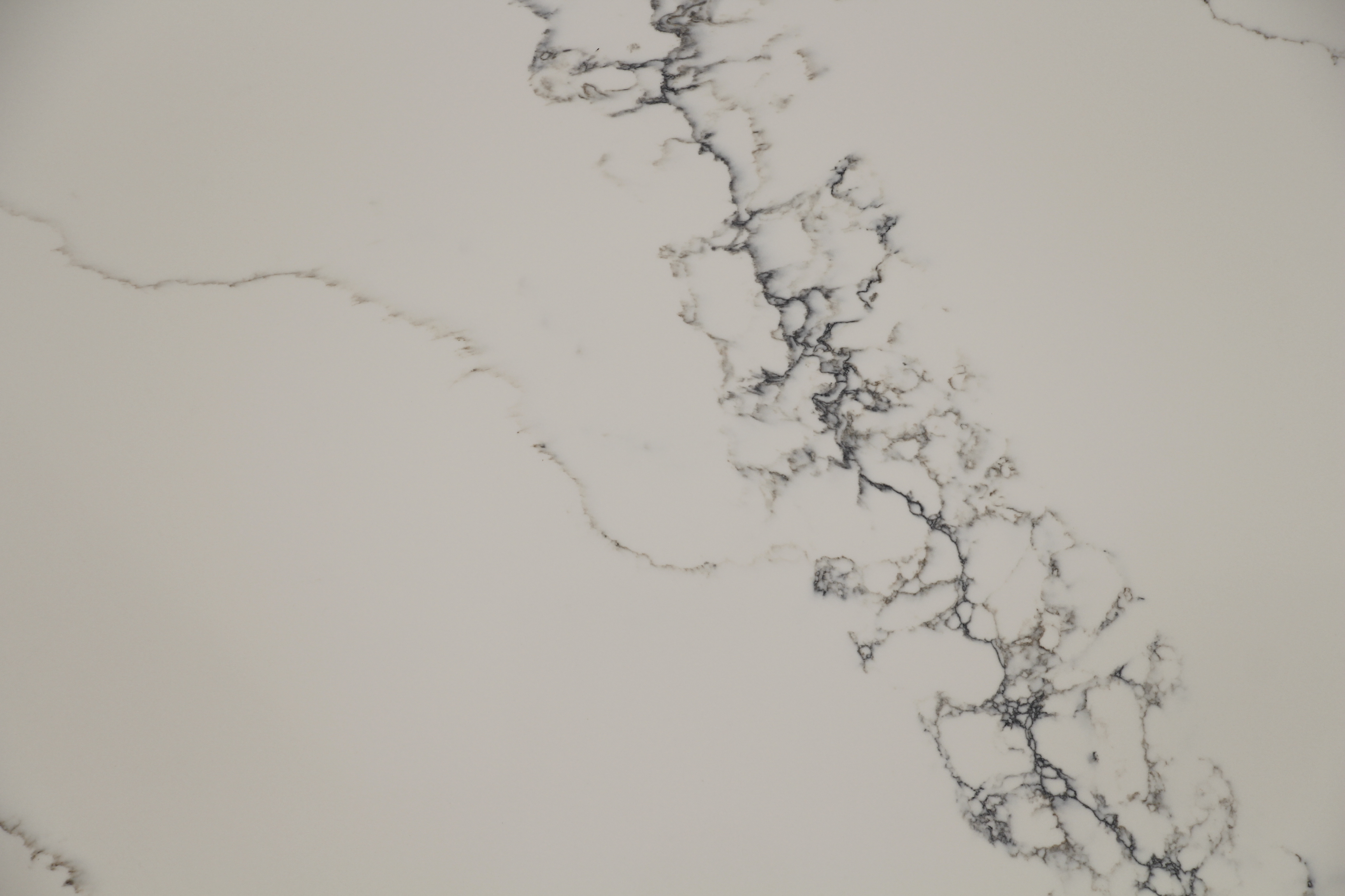 Calacatta nuve quartz slab