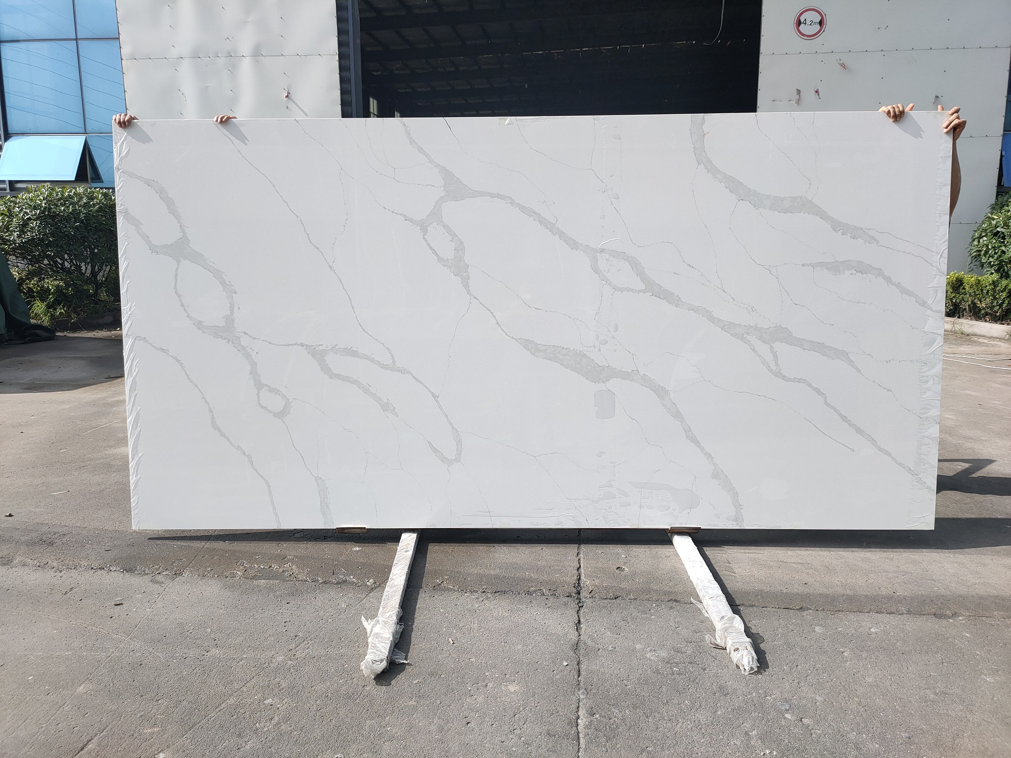White calacatta quartz slab