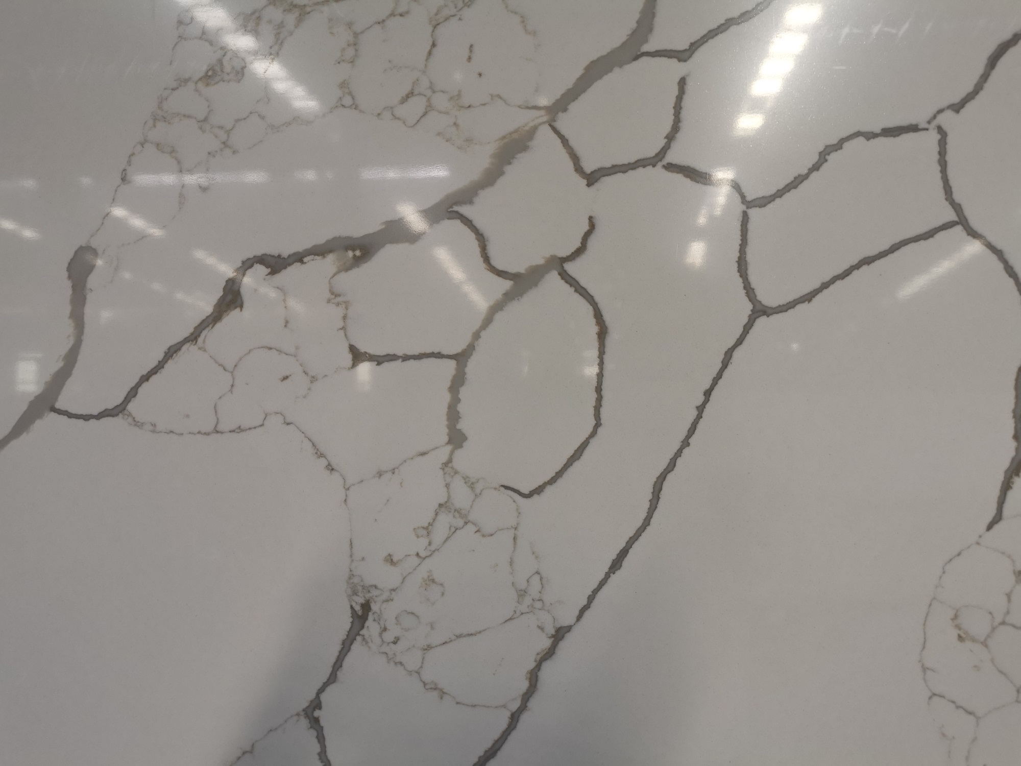 White calacatta quartz slab 