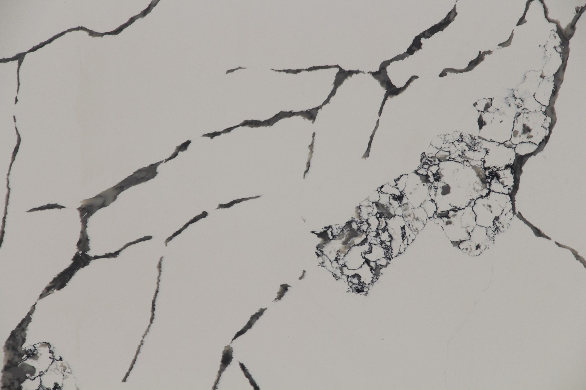 Calacatta quartz with black veins