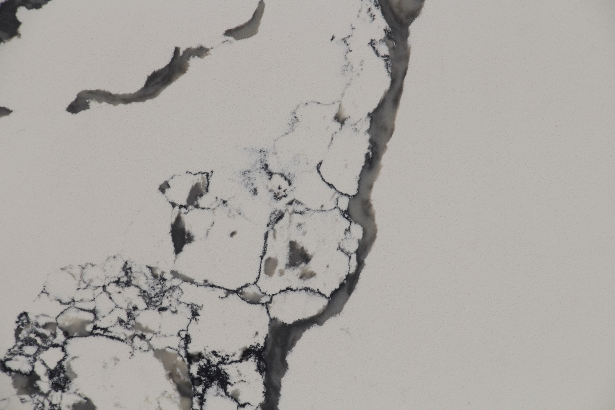 Calacatta quartz with black veins