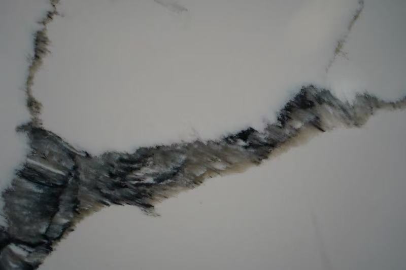 Calacatta quartz with black vein