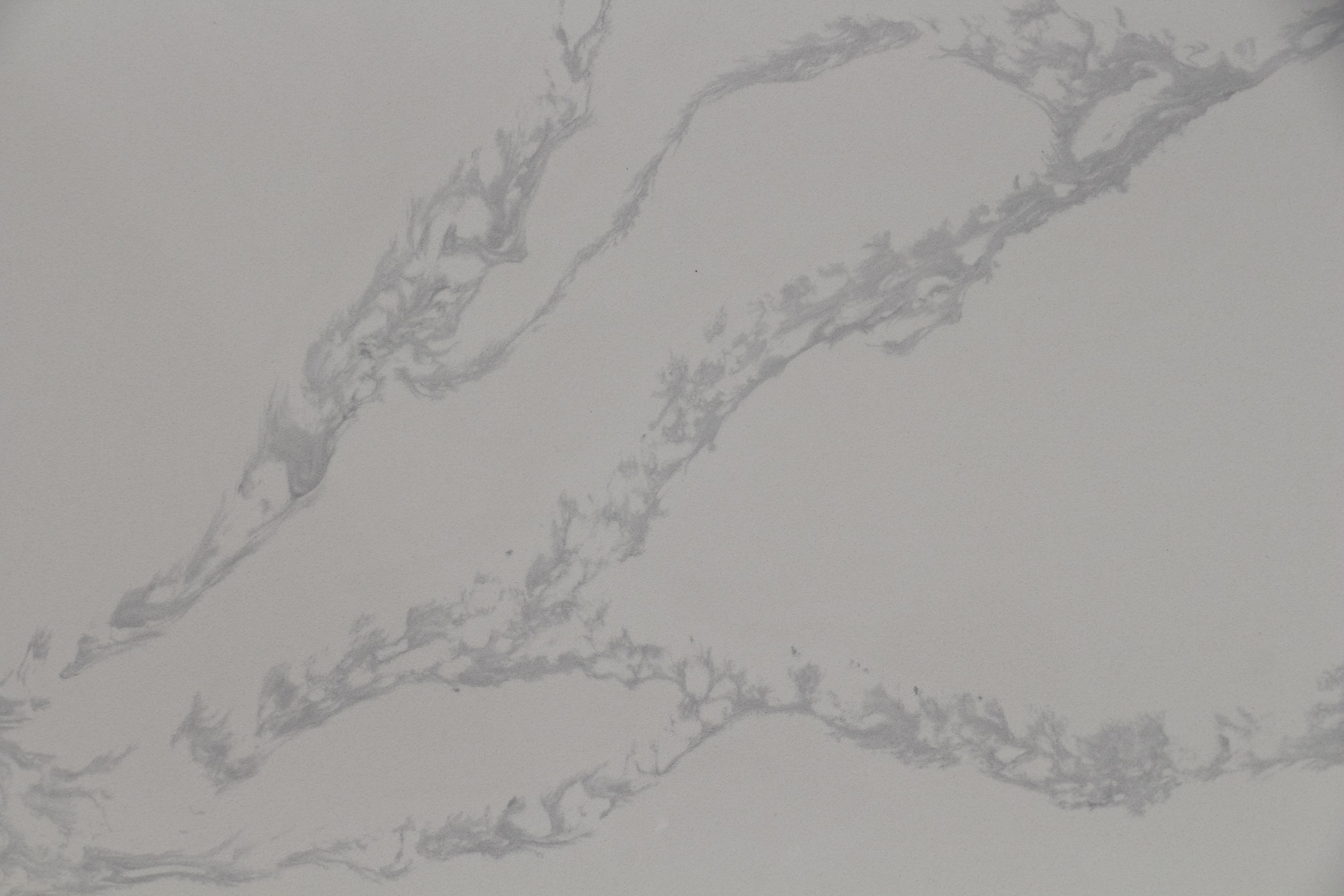 Calacatta quartz with grey veins