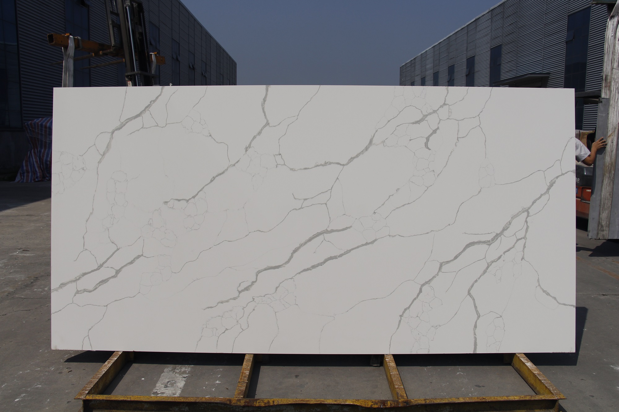 Calacatta laza quartz slab