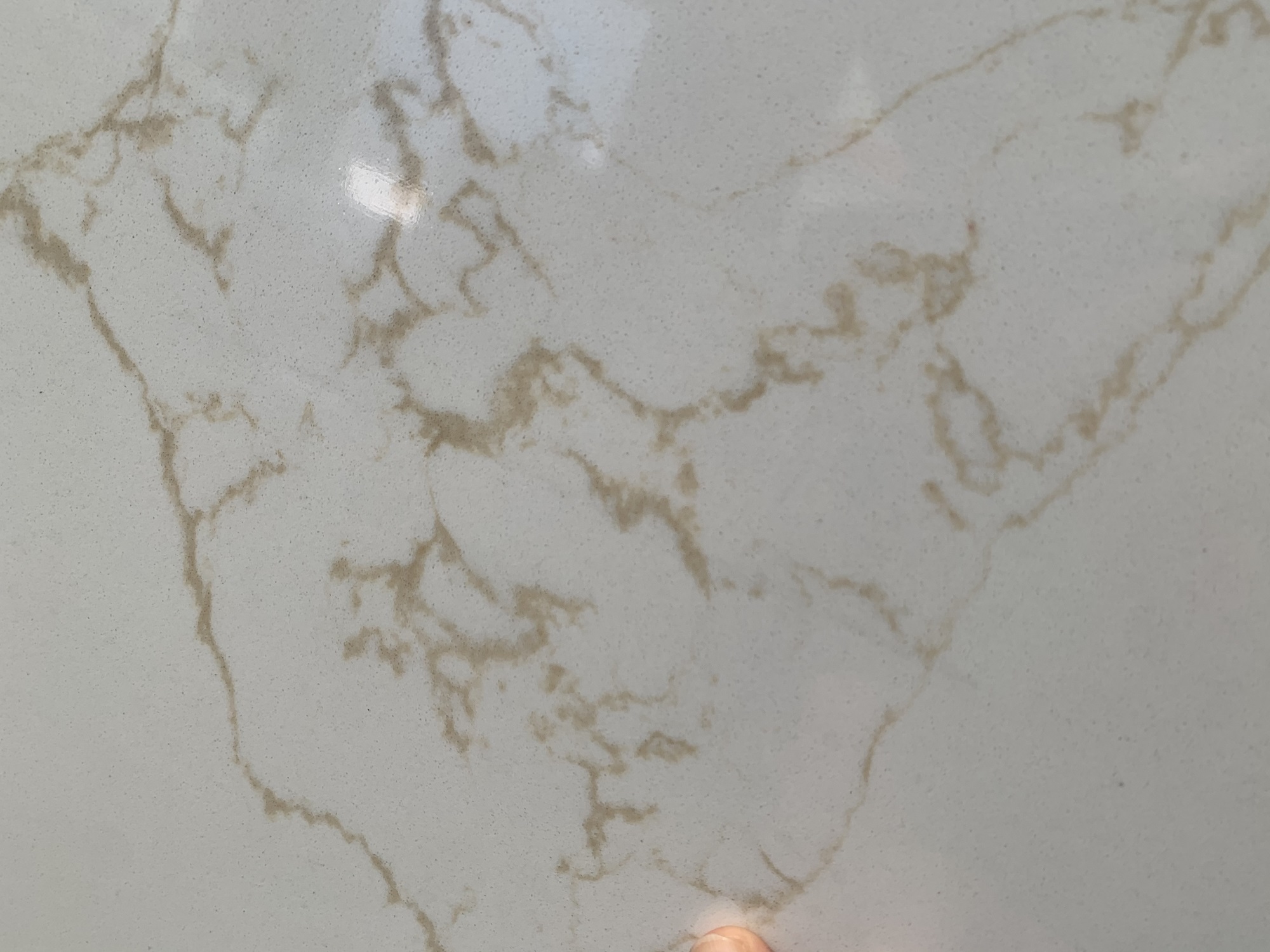 White quartz with gold veins