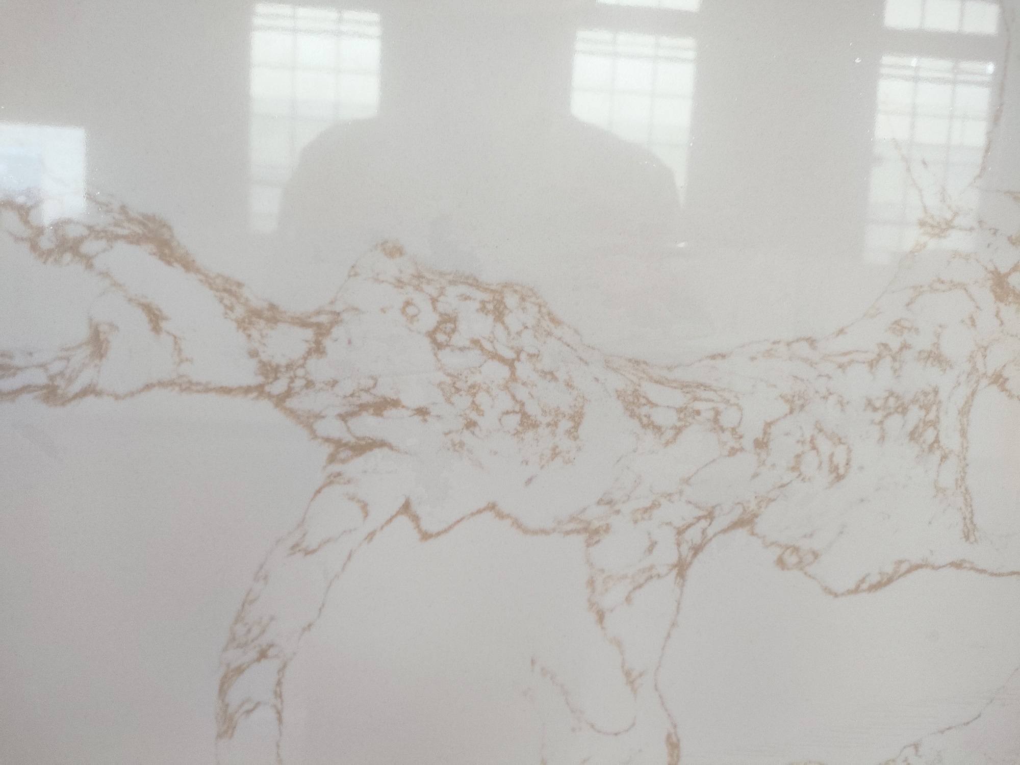White quartz with gold veins