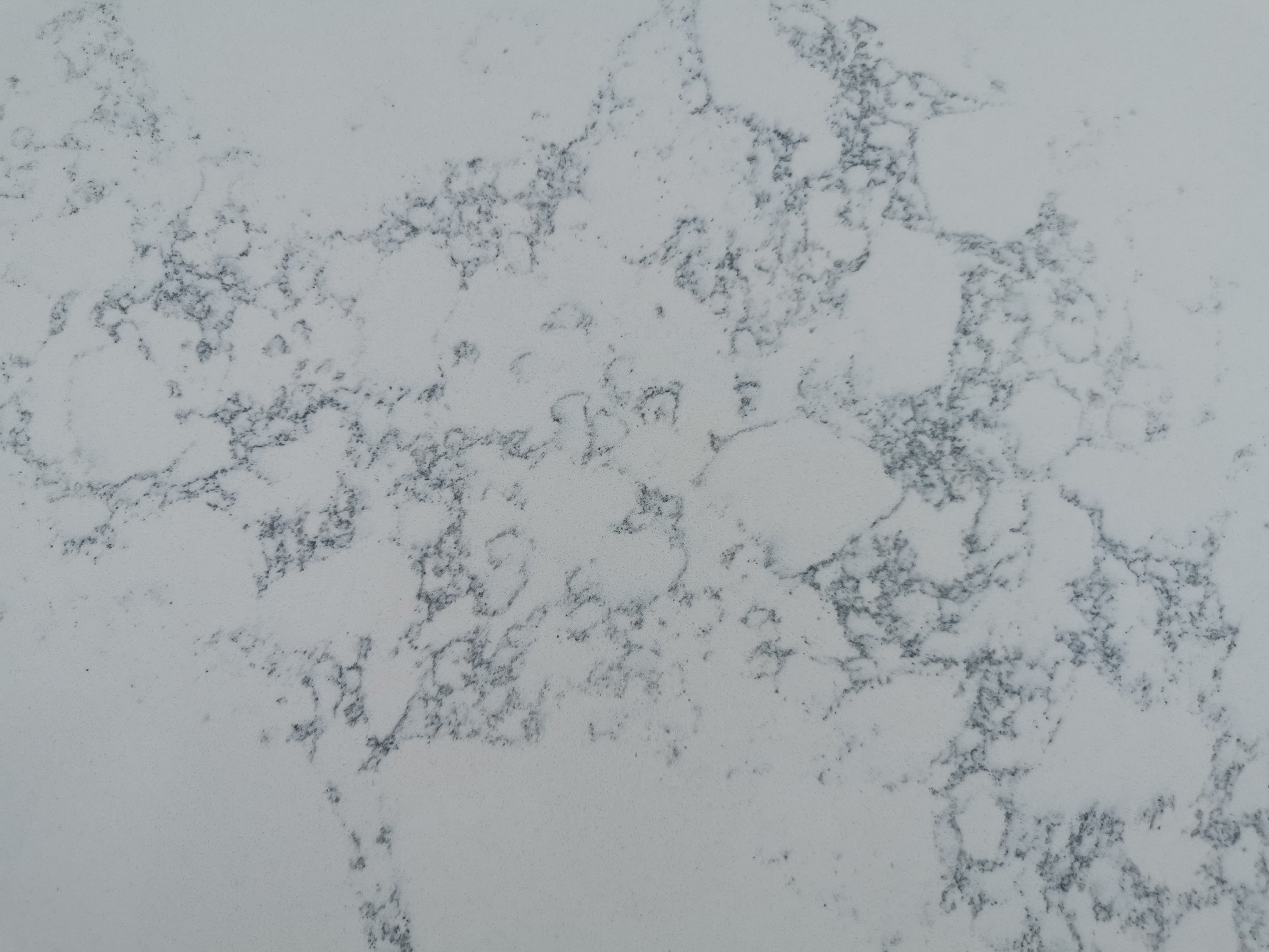 White quartz with blue veins